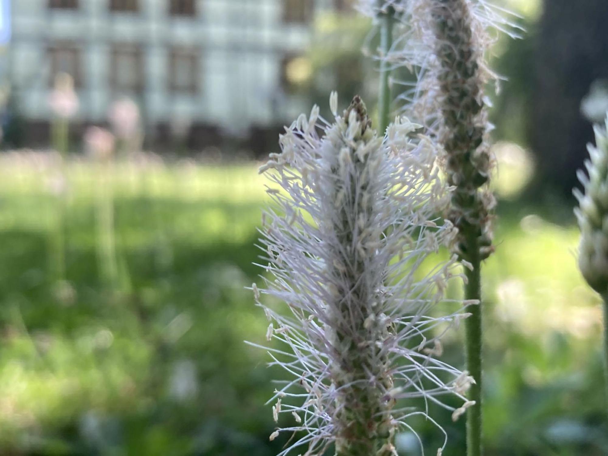 Poppenhaeuser Muehle Hofgeismar Esterno foto